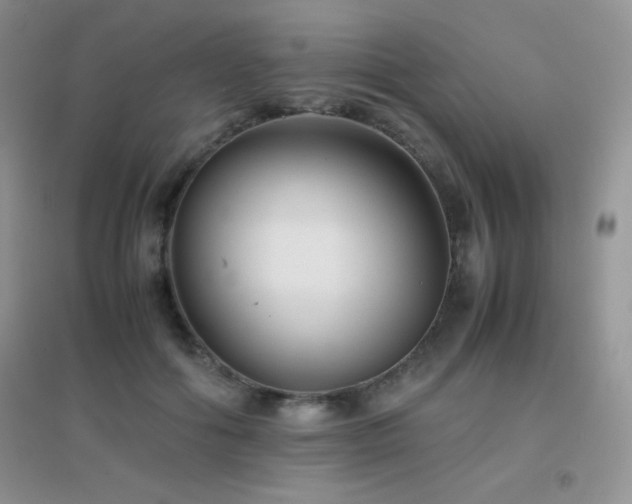 X0000097000602200802081446
