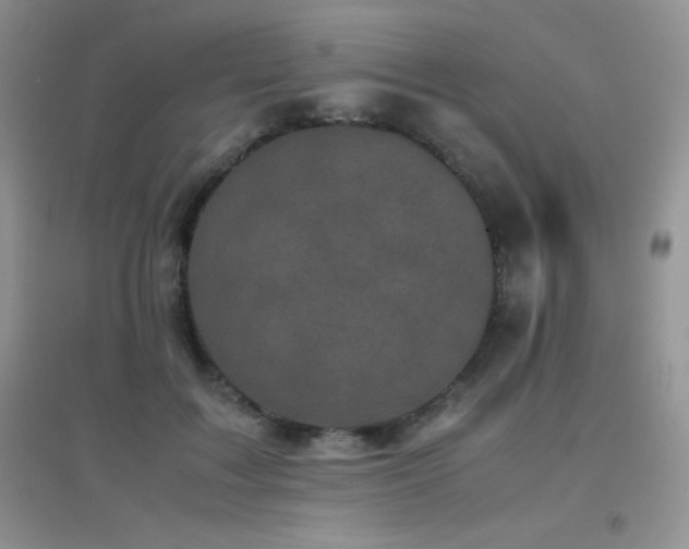 X0000097000603200802081446