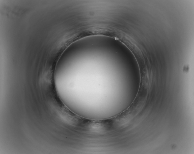 X0000097000604200802081446