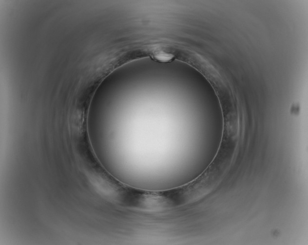 X0000097000605200802081446