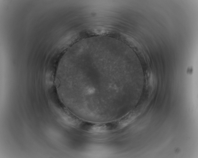 X0000097000606200802081446