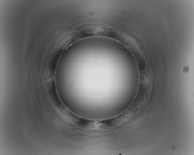 X0000097000607200802081446