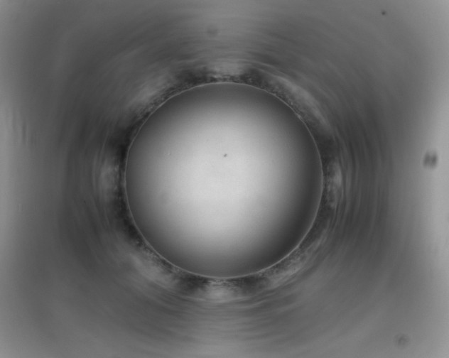 X0000097000608200802081446