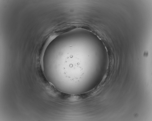 X0000097000609200802081445