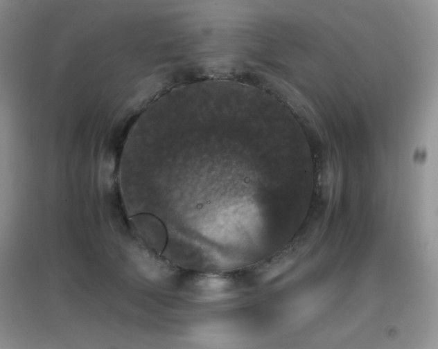 X0000097000610200802081445