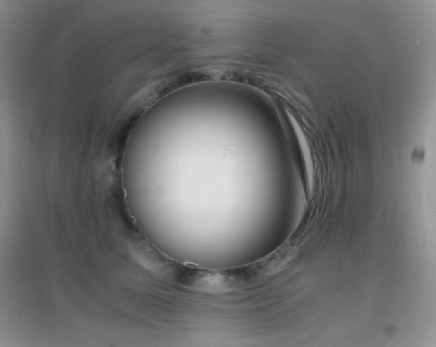 X0000097000611200802081445