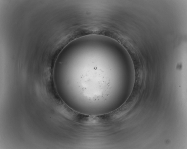 X0000097000612200802081445