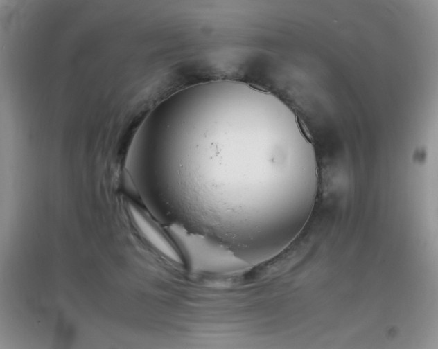 X0000097000613200802081445
