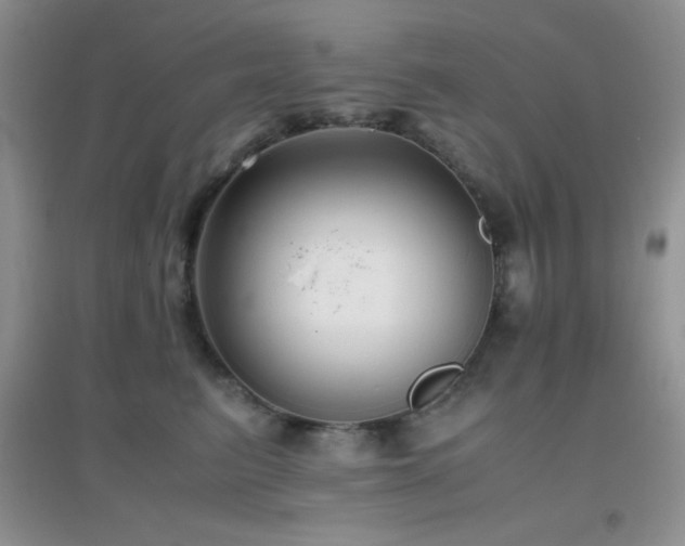 X0000097000615200802081445