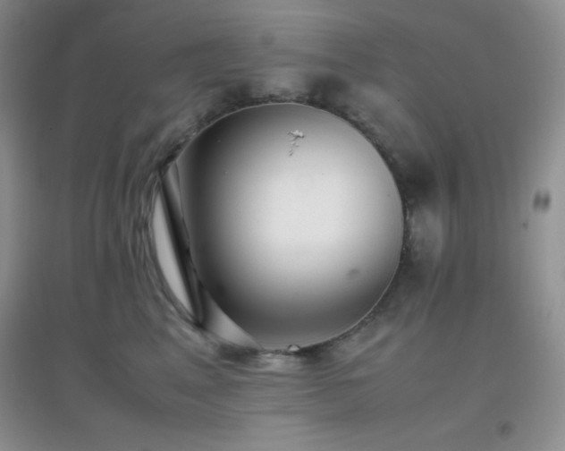 X0000097000617200802081445