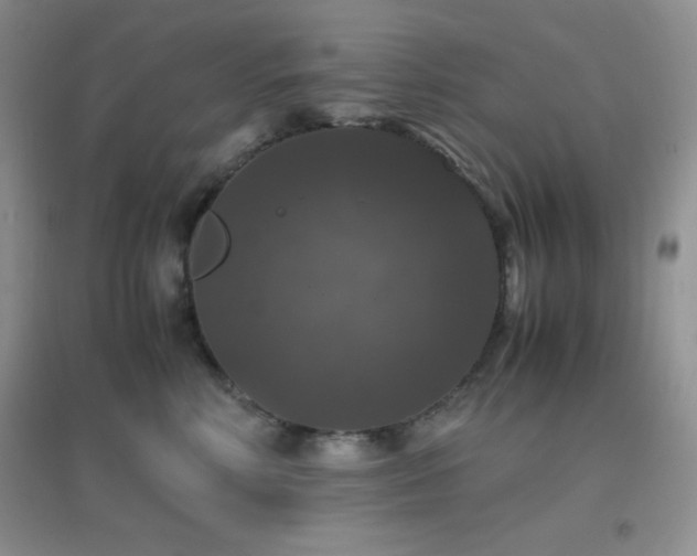 X0000097000618200802081445