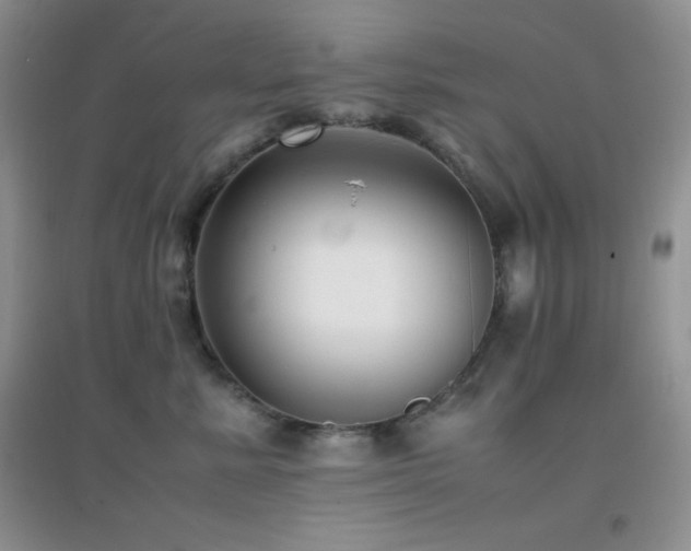 X0000097000619200802081445