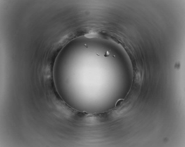 X0000097000620200802081445