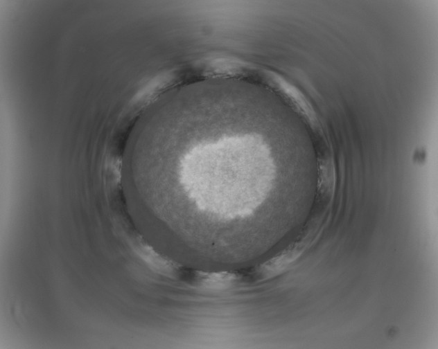 X0000097000621200802081445