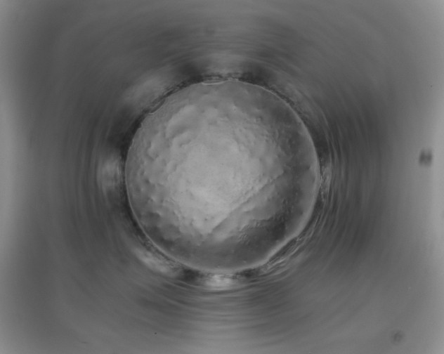 X0000097000623200802081445