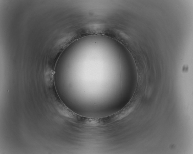 X0000097000624200802081445