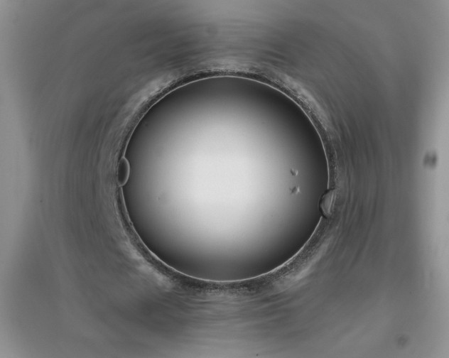 X0000097000625200802081445