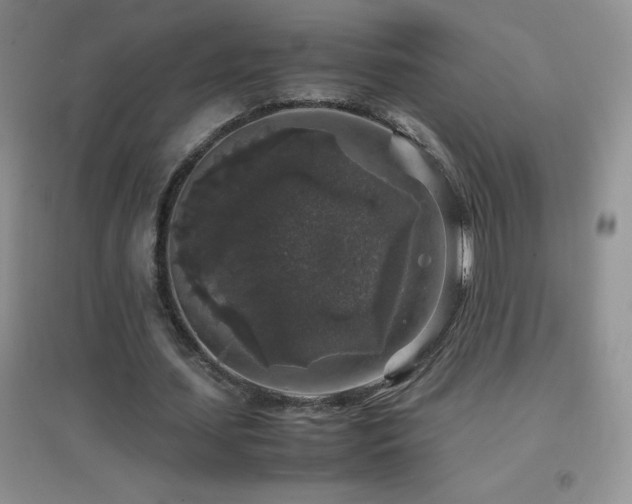 X0000097000627200802081445