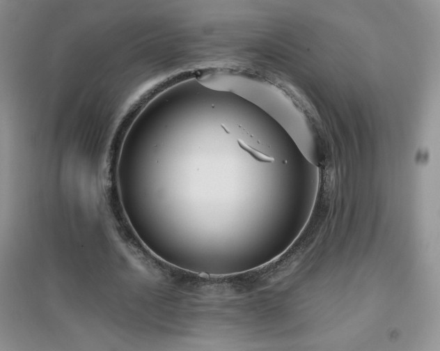 X0000097000628200802081445