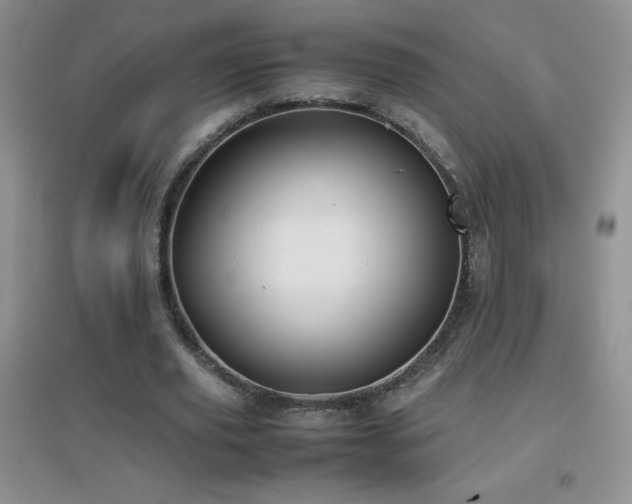 X0000097000629200802081445