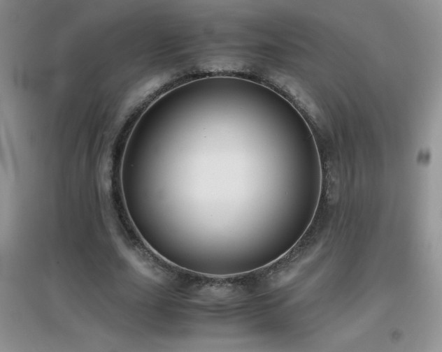 X0000097000631200802081445