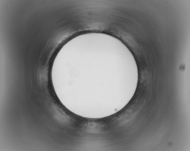 X0000097000632200802081445