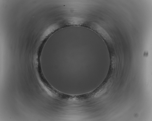 X0000097000634200802081445