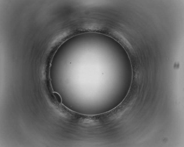 X0000097000635200802081445