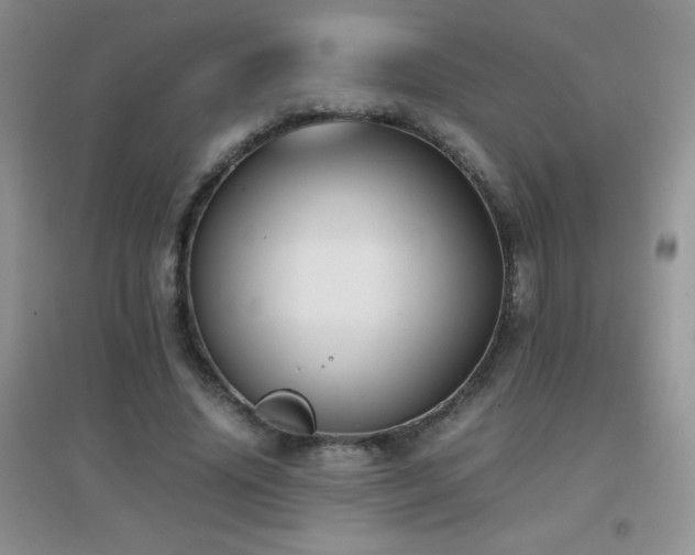 X0000097000636200802081445