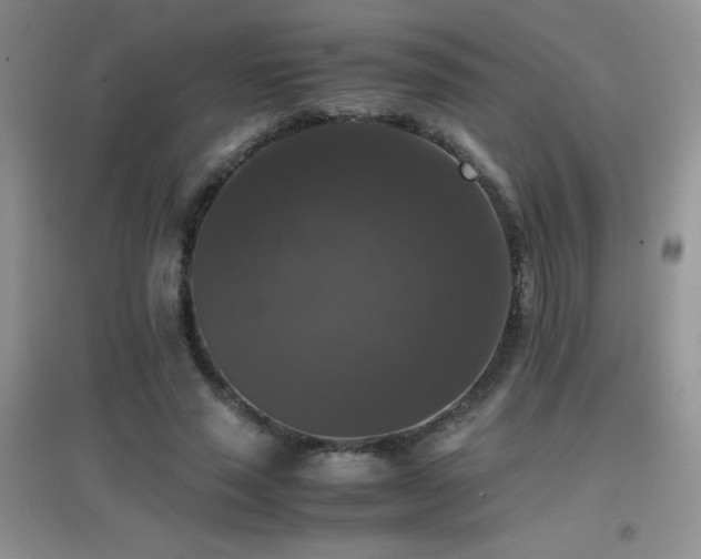 X0000097000637200802081445