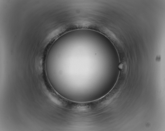 X0000097000638200802081445