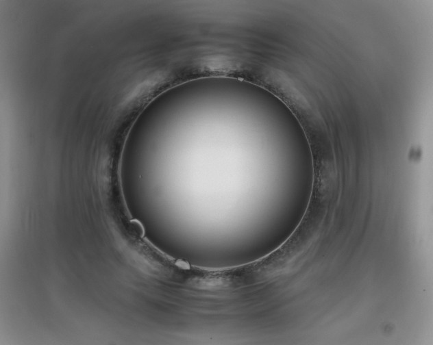 X0000097000639200802081445