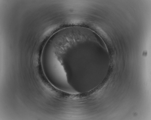 X0000097000640200802081445