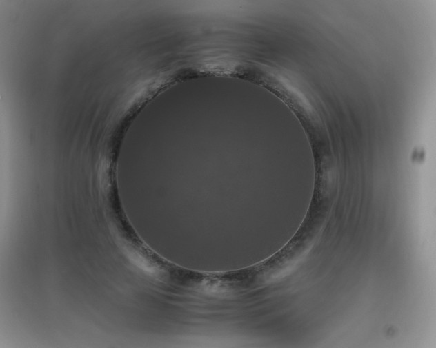 X0000097000641200802081445