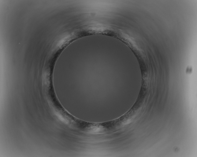 X0000097000642200802081445