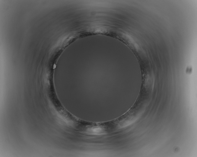 X0000097000643200802081445