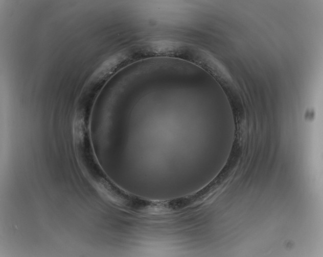X0000097000644200802081445