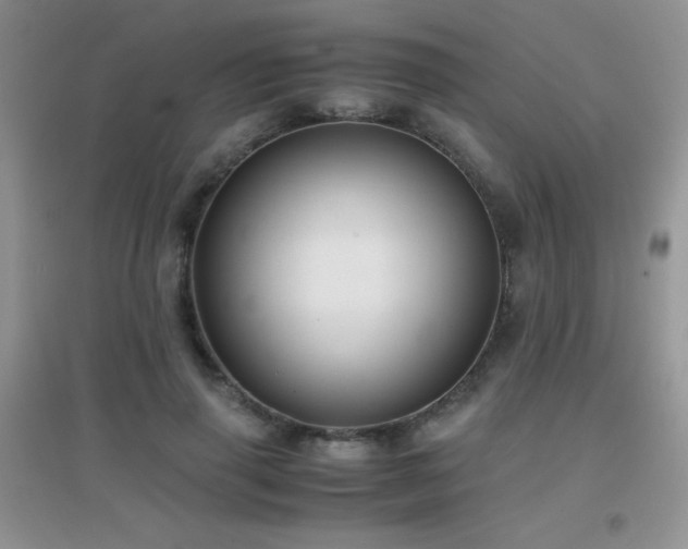 X0000097000645200802081445