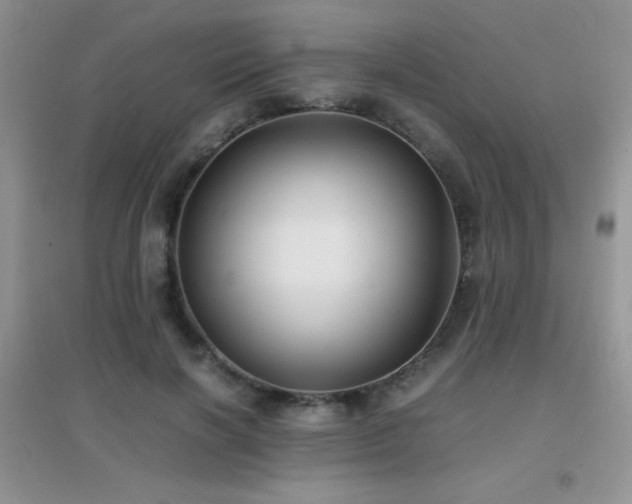 X0000097000646200802081445