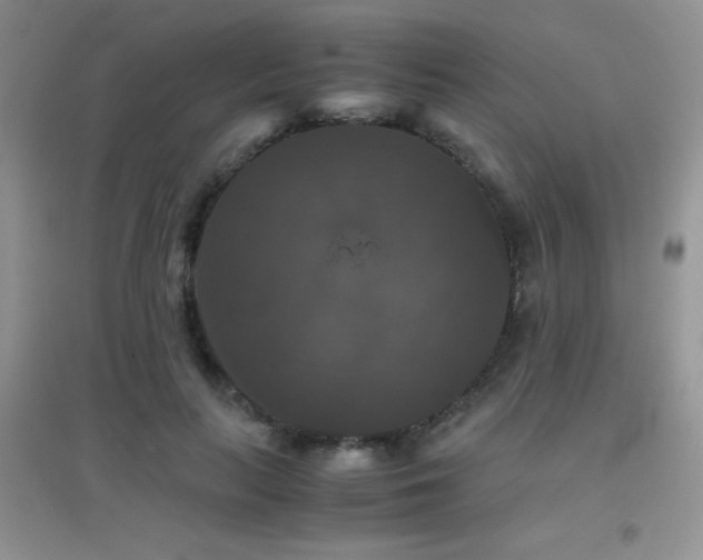 X0000097000647200802081445