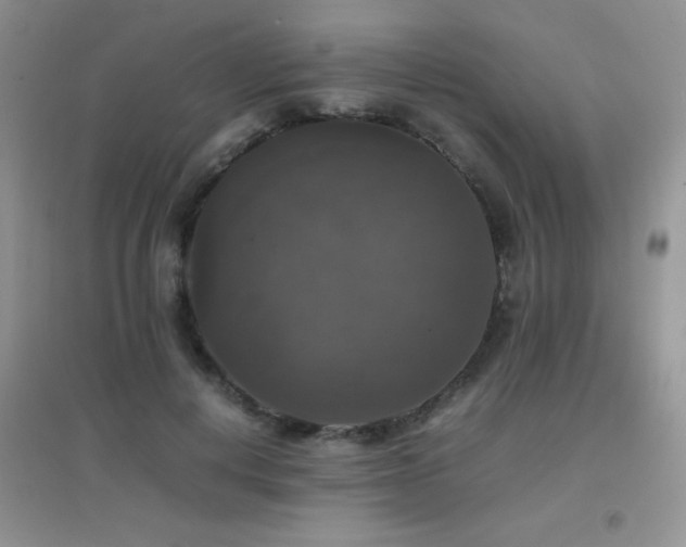 X0000097000648200802081445