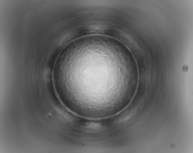 X0000097000649200802081445