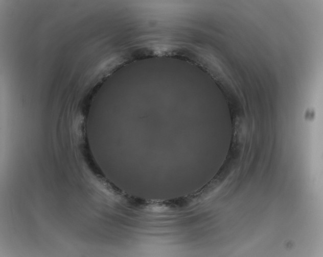 X0000097000650200802081445