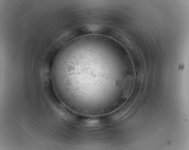 X0000097000651200802081445