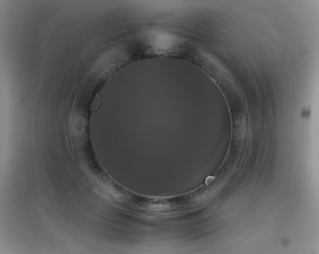 X0000097000653200802081445