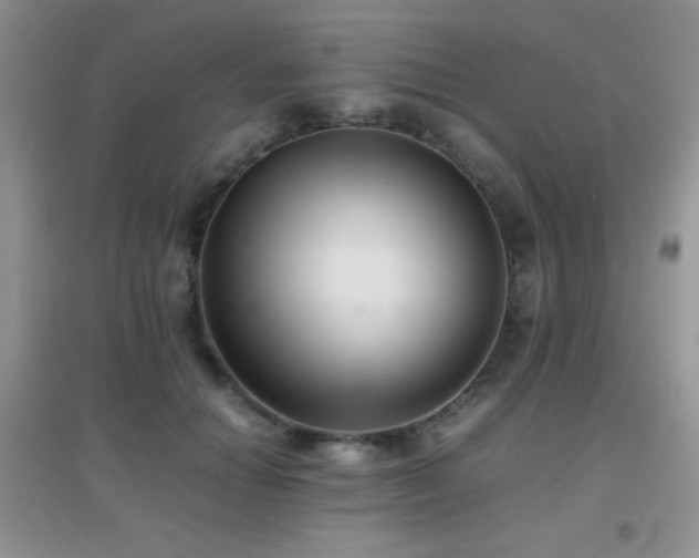 X0000097000654200802081445