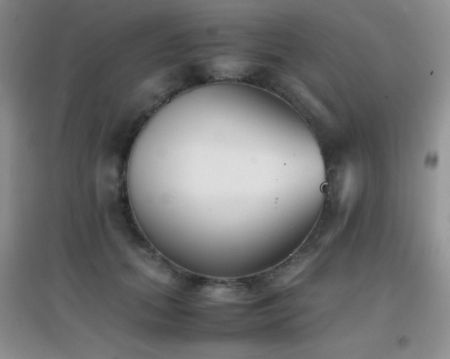 X0000097000655200802081445