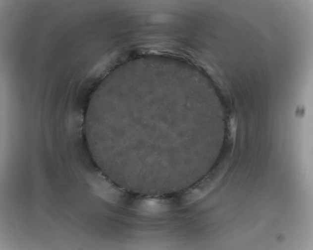 X0000097000657200802081445