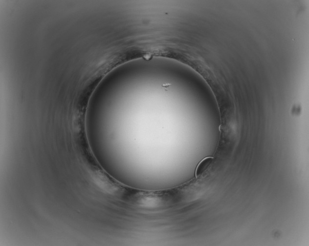 X0000097000658200802081445