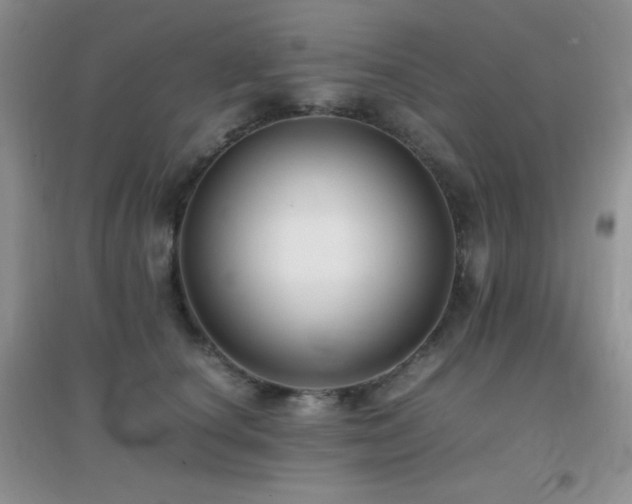 X0000097000660200802081445